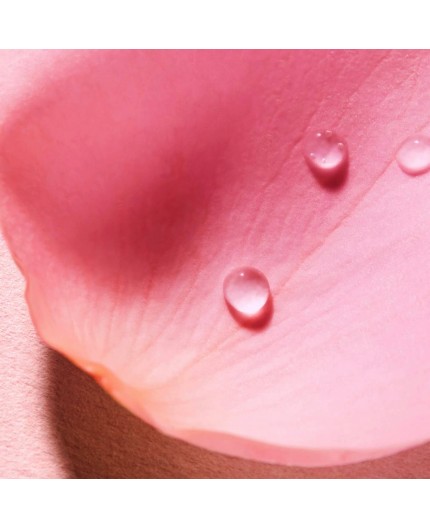 NUXE VERY ROSE AGUA VOLUPTUOSA PERFUMADA 100ML