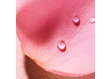 NUXE VERY ROSE AGUA VOLUPTUOSA PERFUMADA 100ML