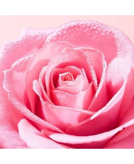 NUXE VERY ROSE LECHE DESMAQUILLANTE RICA 200ML