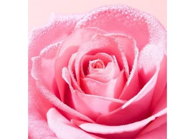 NUXE VERY ROSE LECHE DESMAQUILLANTE RICA 200ML