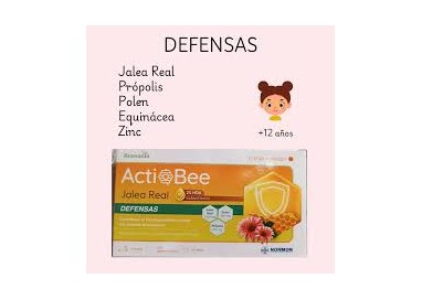 ACTIBEE JALEA REAL DEFENSAS 14 STICKS