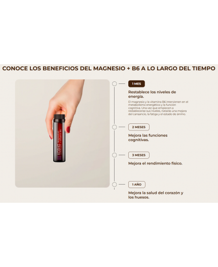 KOBHO MAGNESIO + VIT B6 DUPLO 20+20 VIALES
