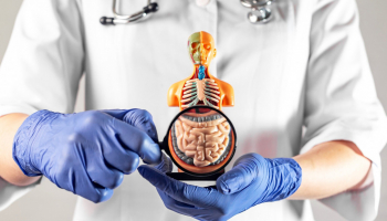 Diferencia entre digestión mecánica y química