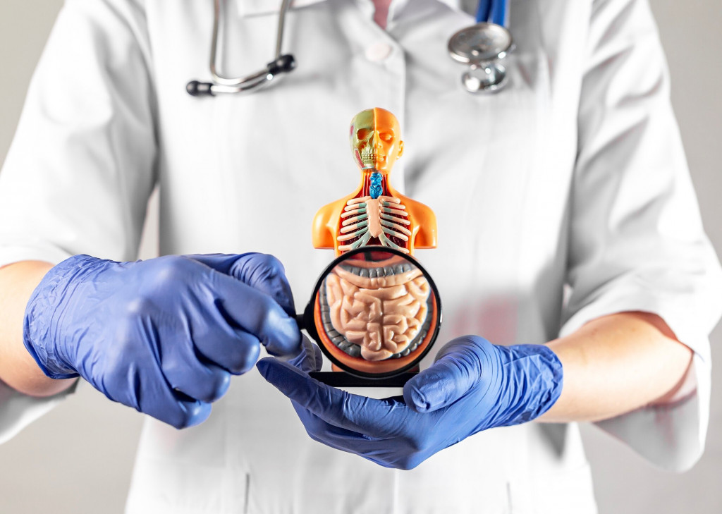 Diferencia entre digestión mecánica y química